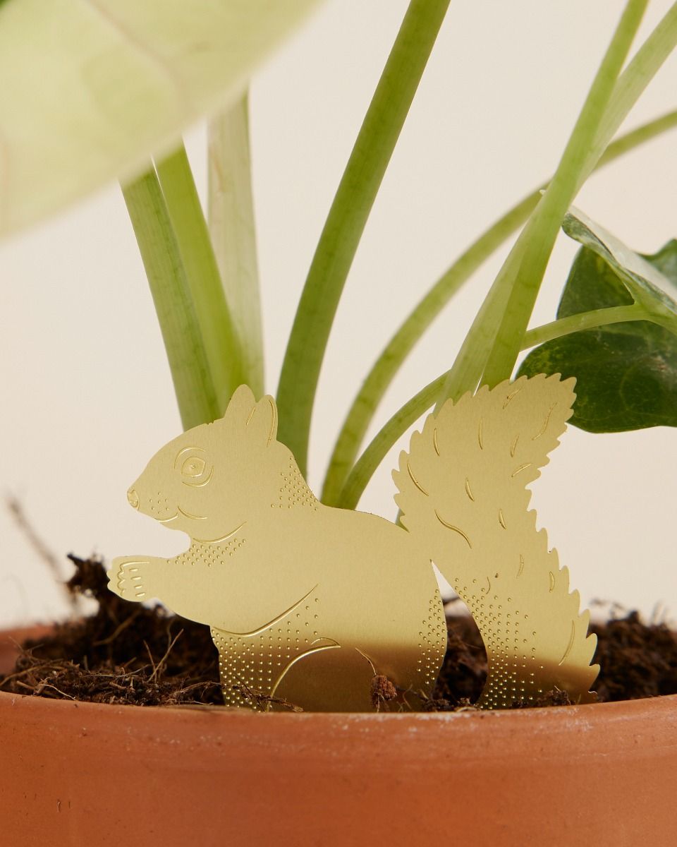 Shop Plant buddys online | PLNTS.com