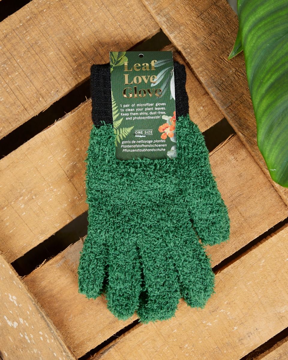  BLESS YOUR SOIL Microfiber Dusting Gloves for Plants : Premium,  Gentle, Traps Dust, Washable, Lint Free : Use with Big Leaf Energy  ready-to-use spray for houseplants : Health & Household