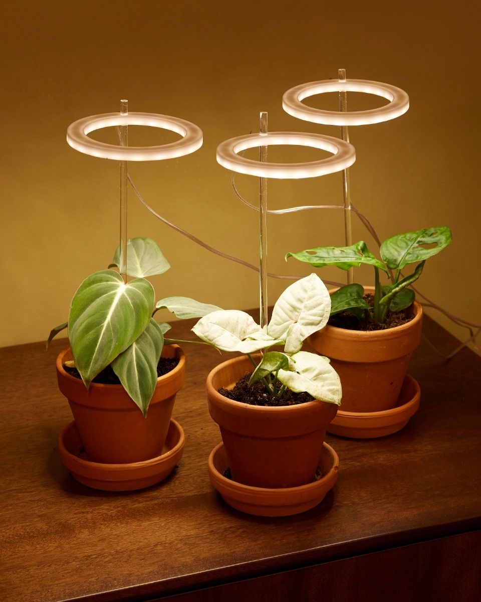 Vente en gros Ultraviolet Light For Plants à bas prix