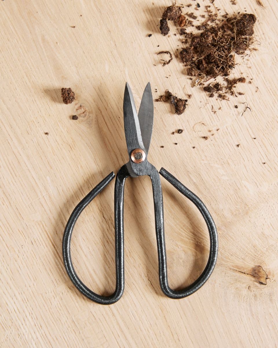 OKBY Bonsai Schaar-200mm Stevige Stalen Bonsai Schaar Snoeien Shear Wortels Takken Trimmen Tool Tuin Cutter