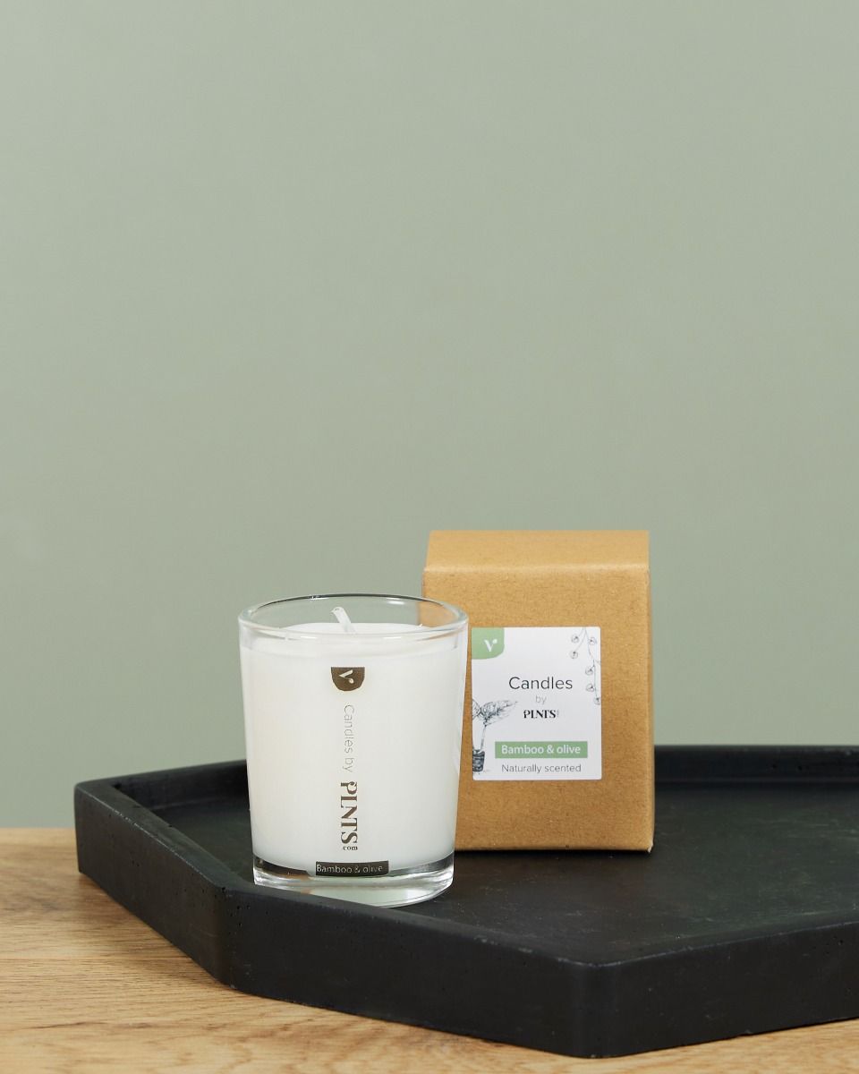 Shop Vito Bamboo & Olive Scented Candle Soy online | PLNTS.com