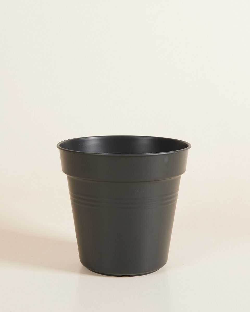 Shop Elho Hagrid Nursery Planter Black online | PLNTS.com
