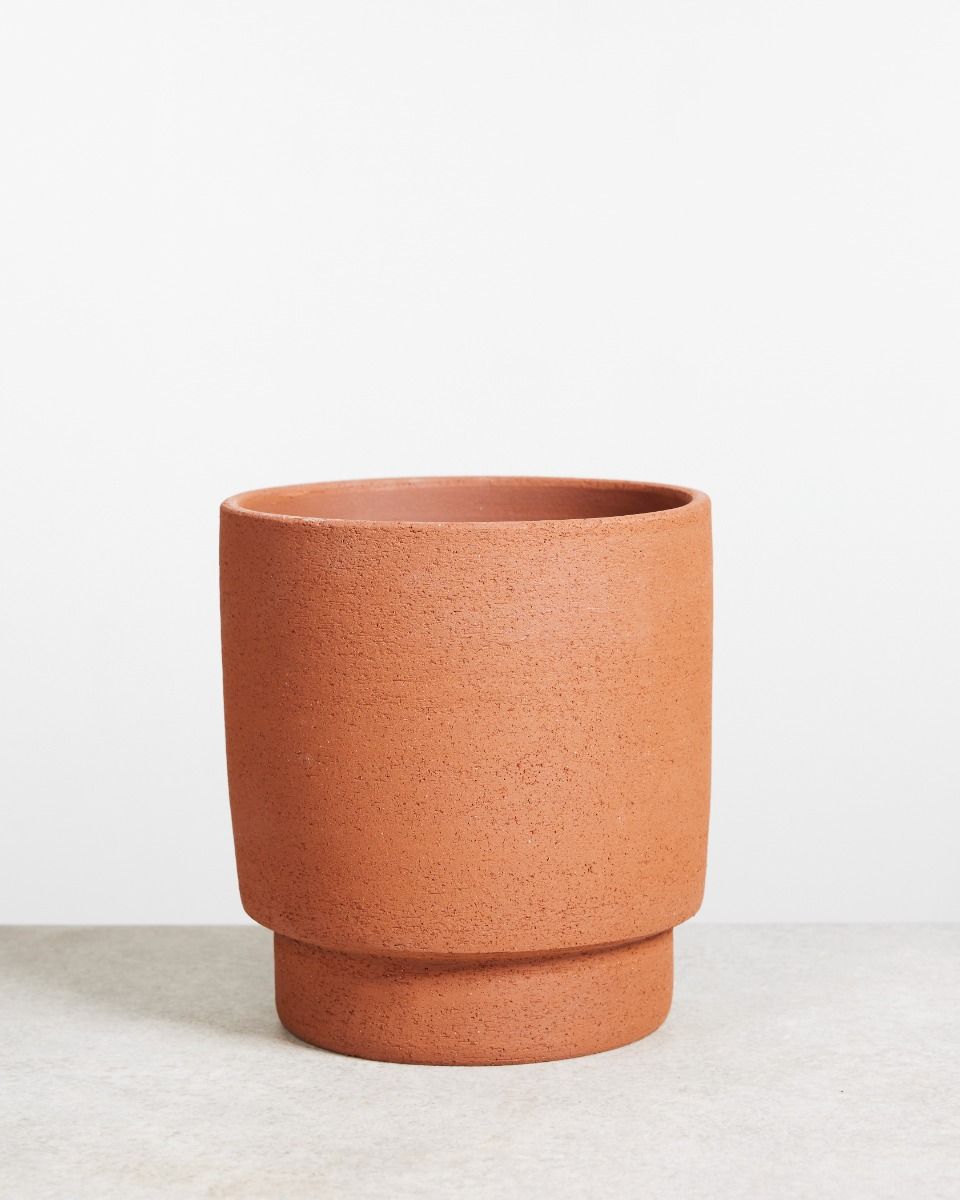 Shop Chad Pot Terra online | PLNTS.com