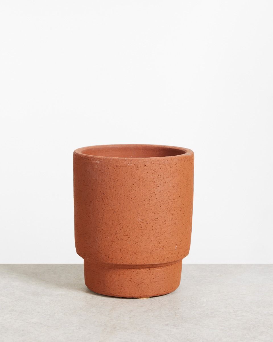 Shop Chad Pot Terra online | PLNTS.com