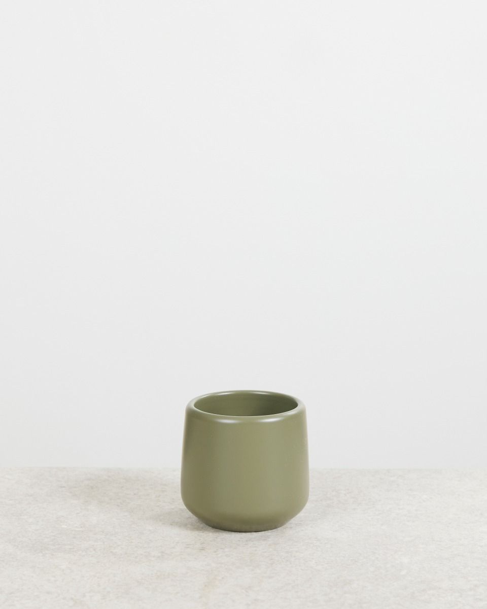 Shop Amber Pot Green online | PLNTS.com