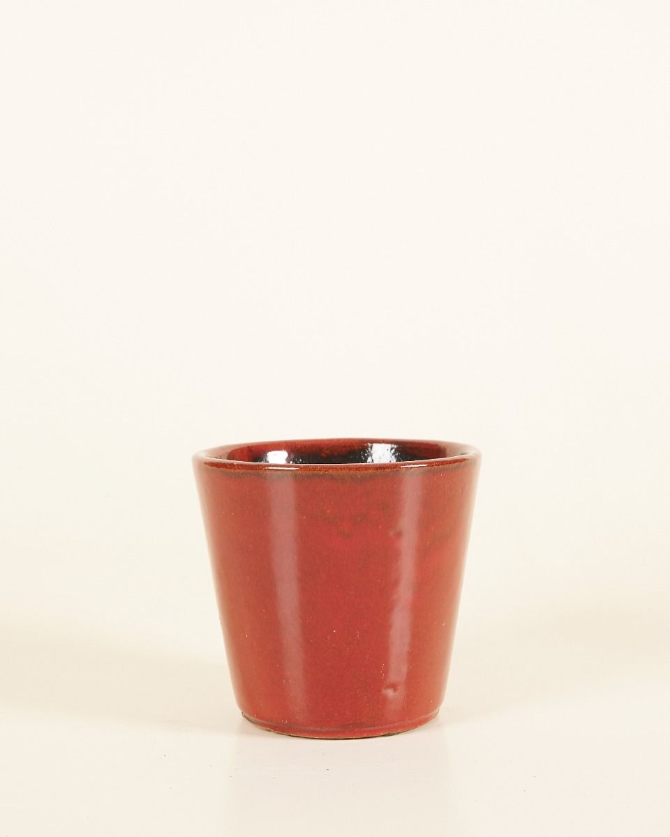 Shop Alice Pot Ruby Red Online 