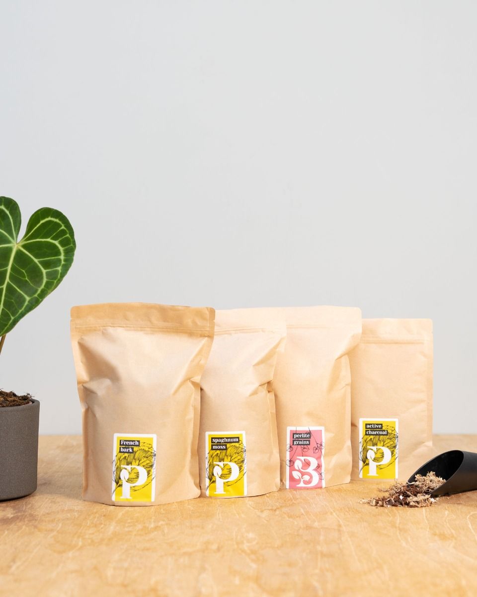 Shop Epiphytes potting mix kit online