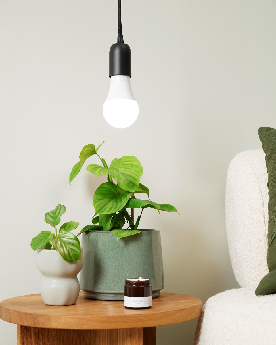 Shop Grow Light DIY Set Black online 