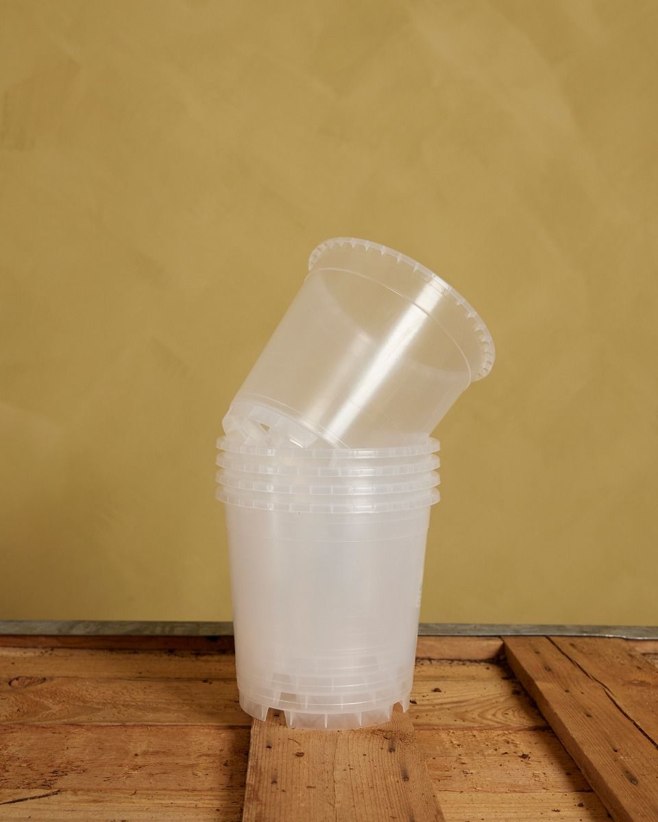 Transparent Plantlets Shop Set of 5 Nursery Planters Transparent Ø 15 cm online | PLNTS.com